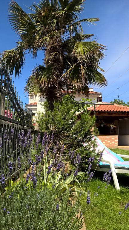 Porta Anna Apartments Medulin Exterior foto